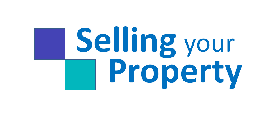 Selling Your Property digital marketing and business startup for real estate agents